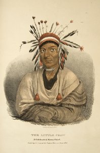 El Pequeño Cuervo de James Otto Lewis
